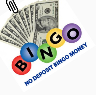 Microgaming Bingo with No Deposit Bonus for Graduates